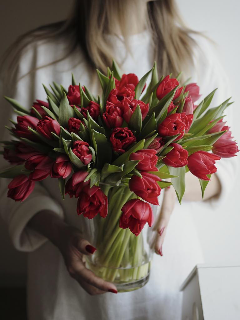 Тюльпан Largo