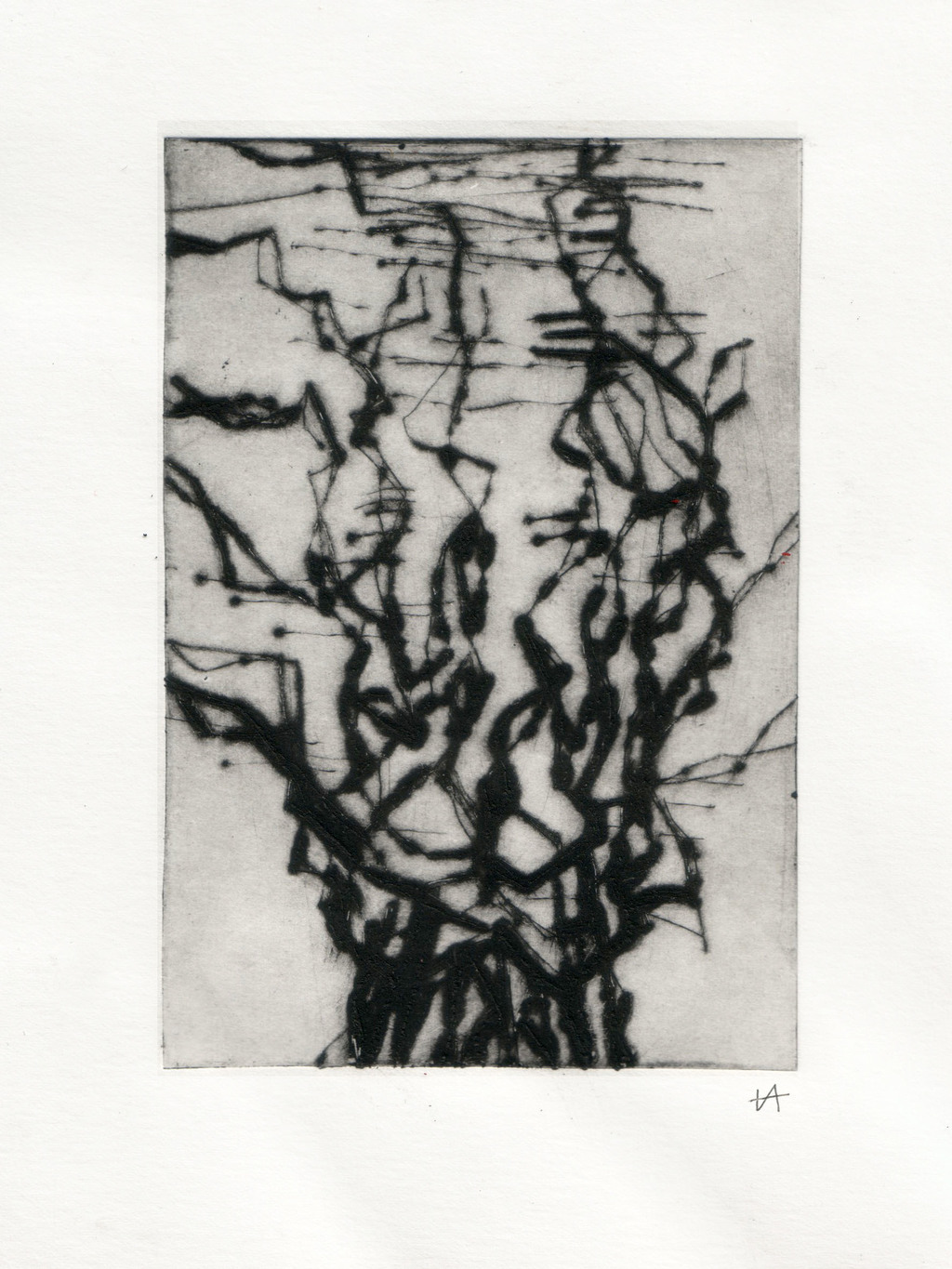 Untitled47