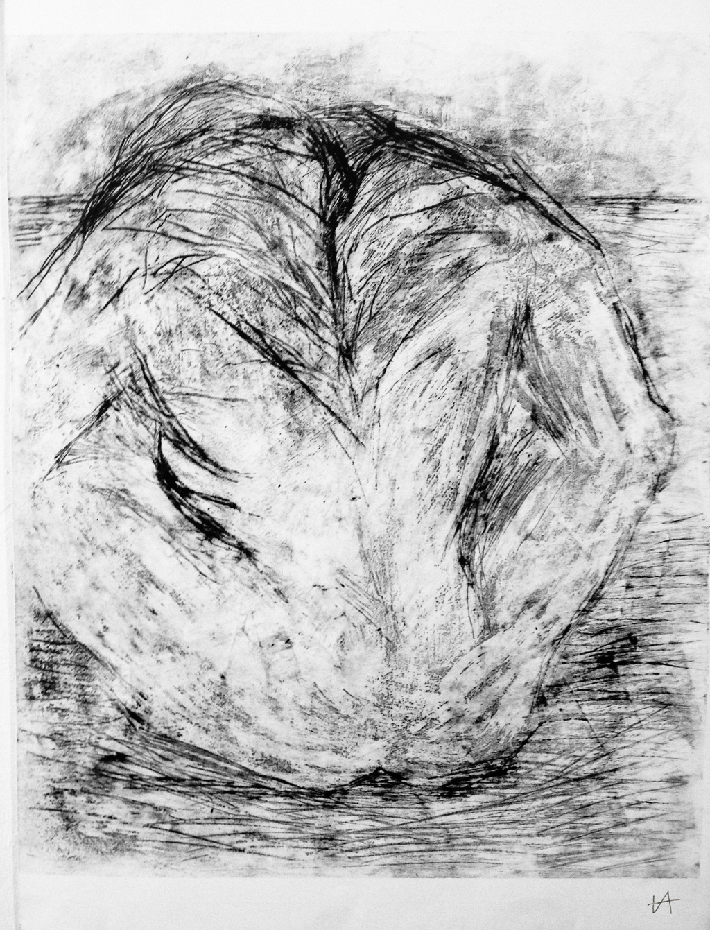 Untitled51