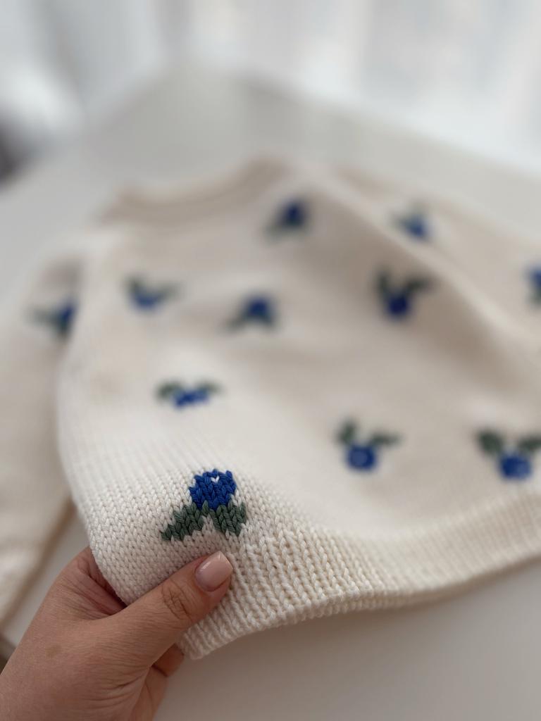 Дополнение - Вышивка "BLUEBERRY"