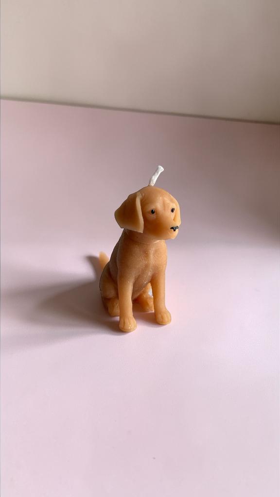 Бигль коричневого цвета