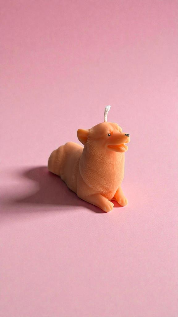 Корги рыжая