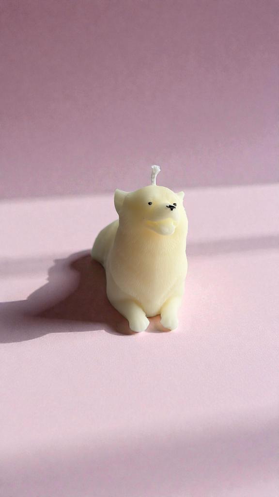 Корги белая