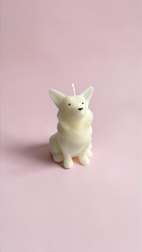 Корги средняя белая
