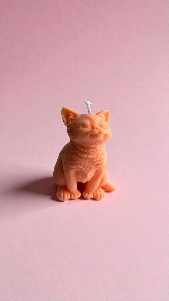 Кошка с закрытыми глазками рыженькая