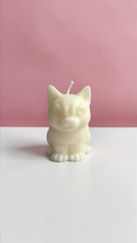 Кот средний серьезный