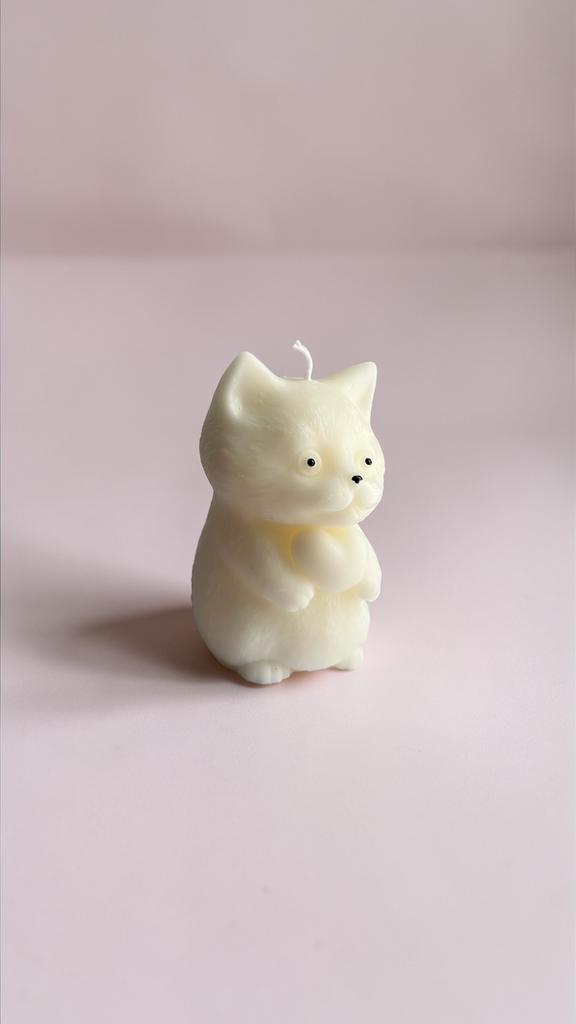 Кот с сердечком