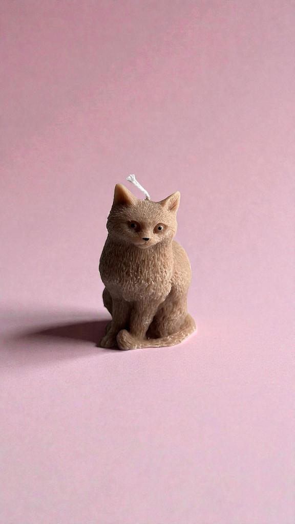 Кошка классическая коричневая