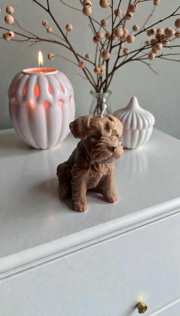 Шнауцер средний коричневый