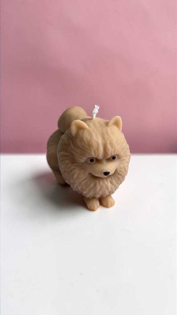 Шпиц мини коричневый