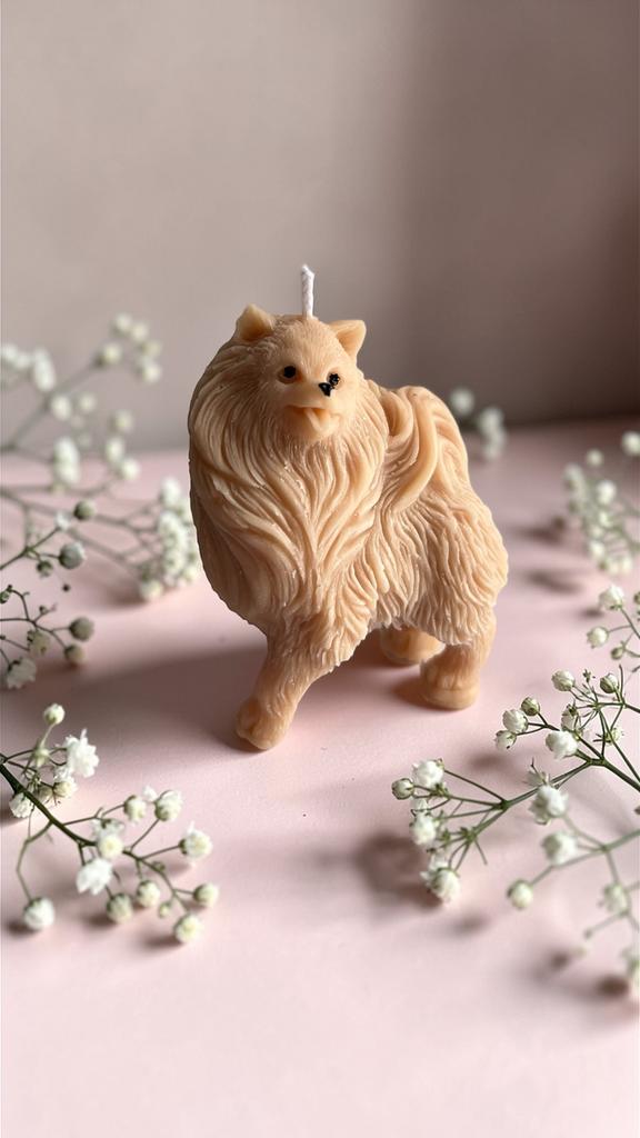 Шпиц средний