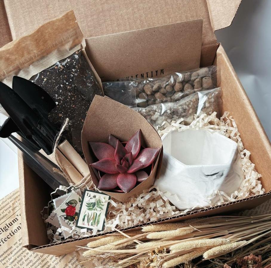 Набор "Посади сам"