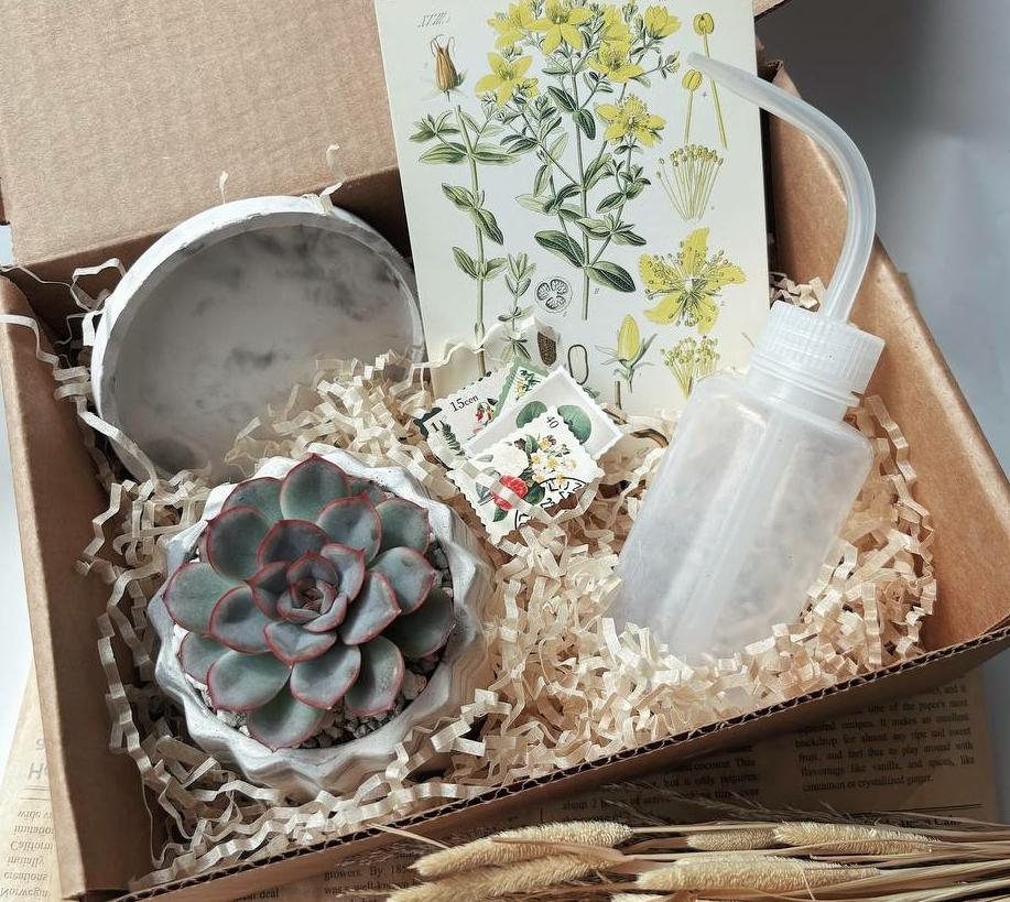 Подарочный набор с леечкой