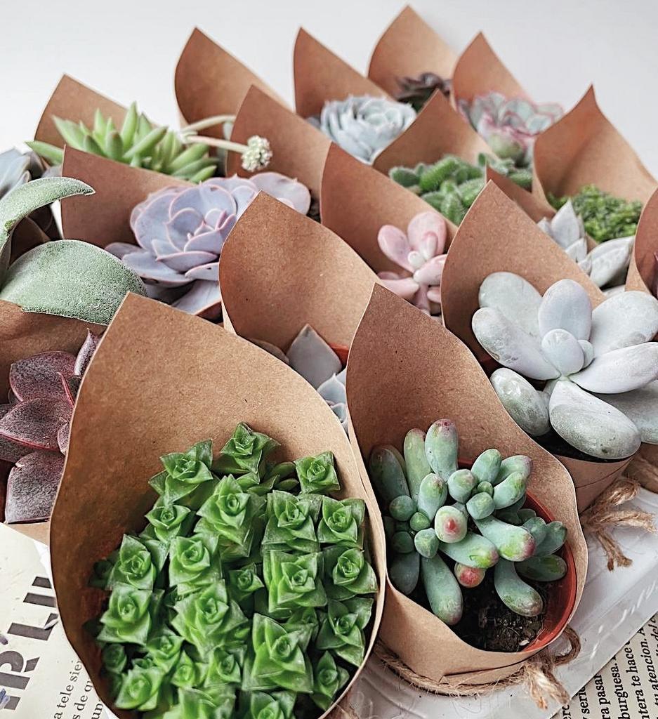 Праздничная упаковка на мероприятие