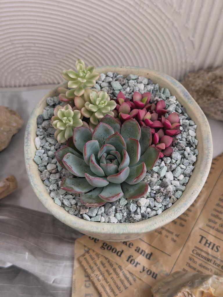 Садик "Солнечный"