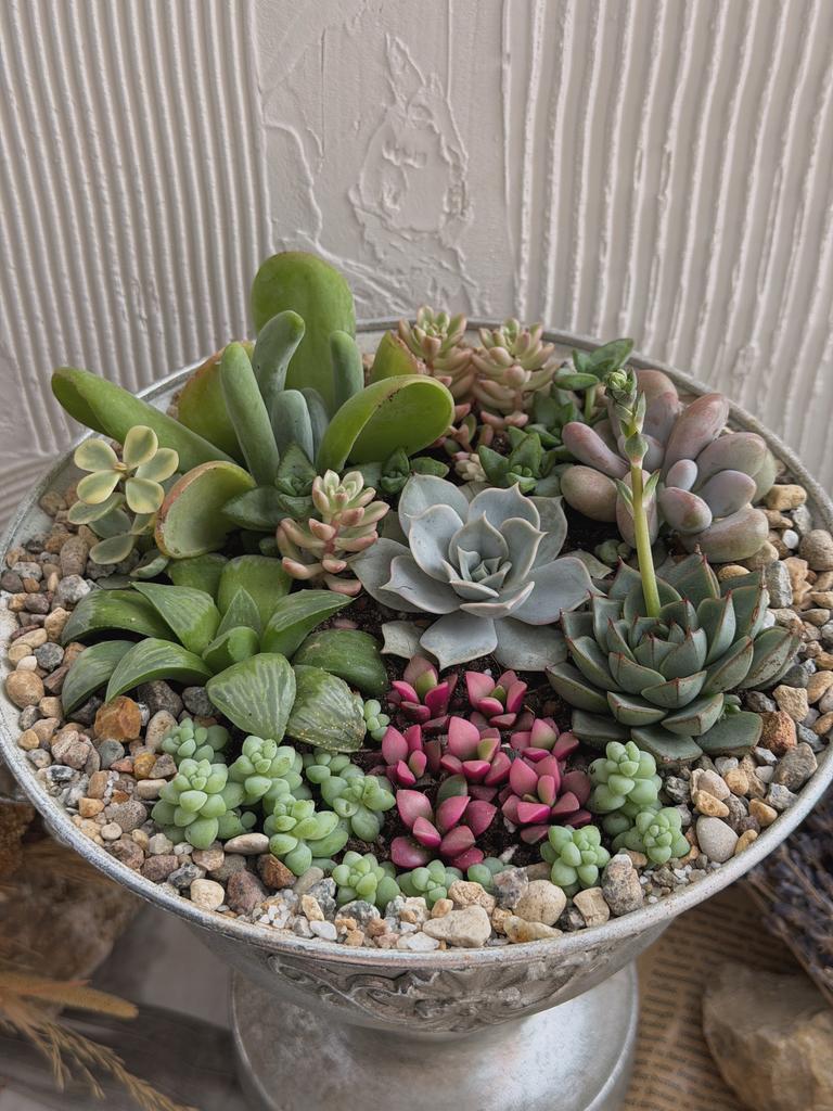 Сад "Море трав"