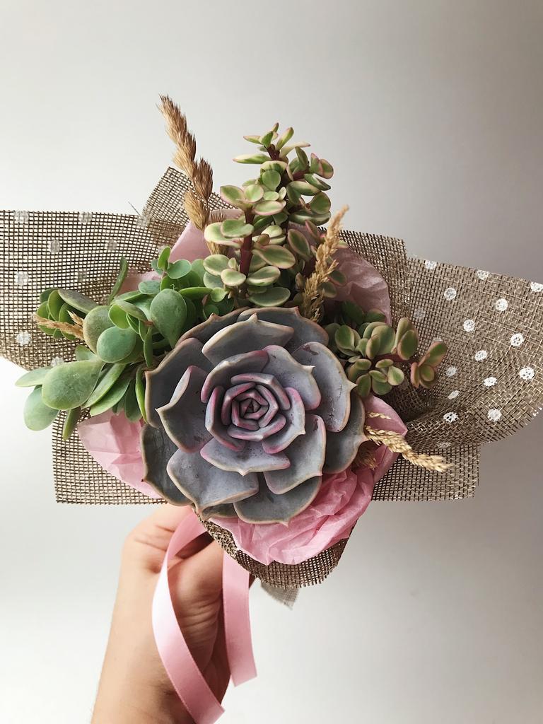 Букет из суккулентов