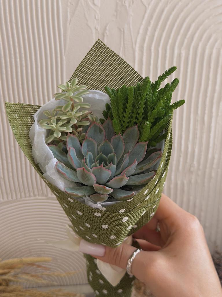 Букет из суккулентов