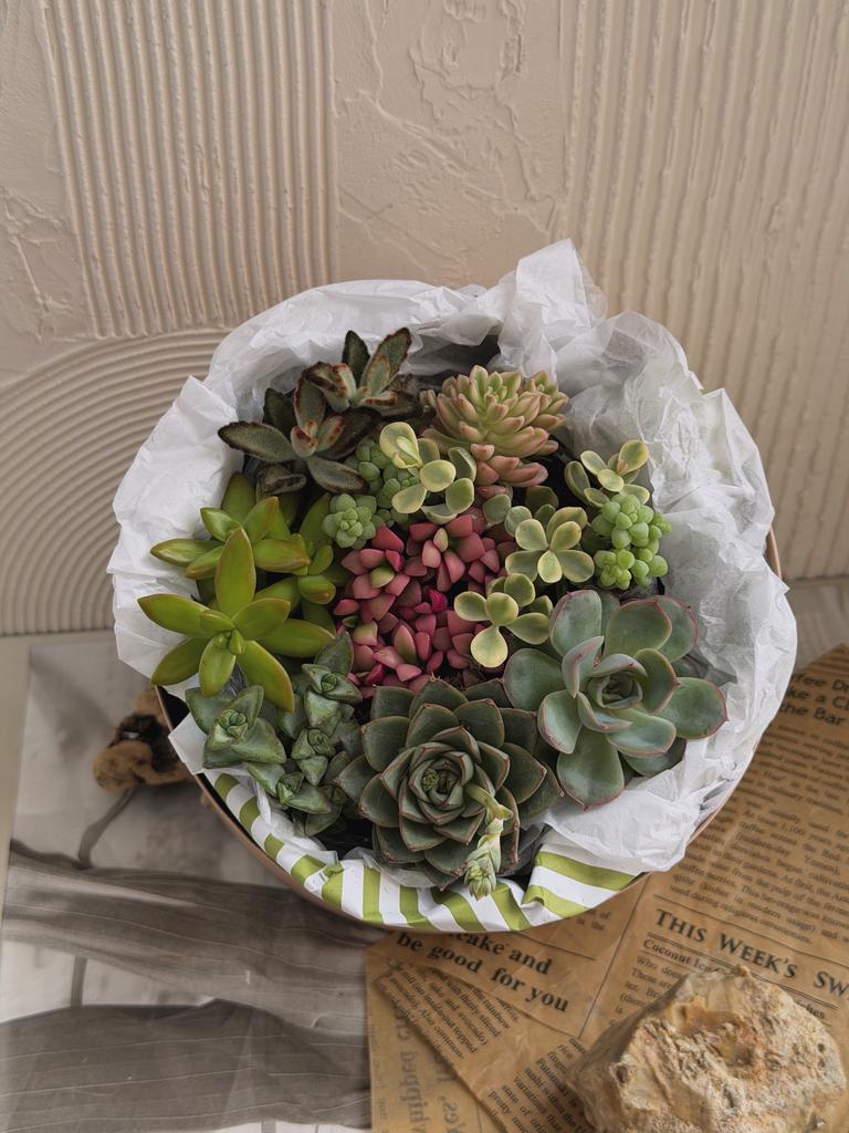 Букет из суккулентов в шляпной коробке