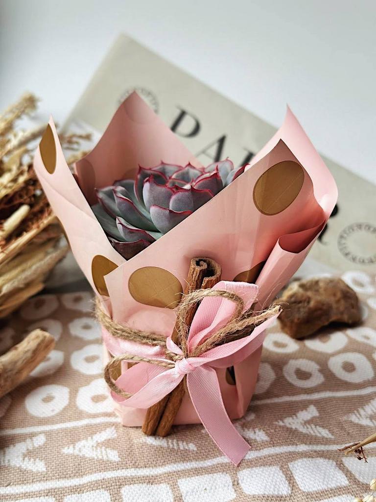 Праздничная упаковка суккулента