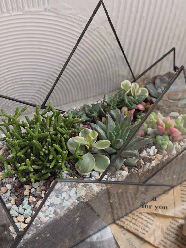 Садик во флорариуме "Горы"