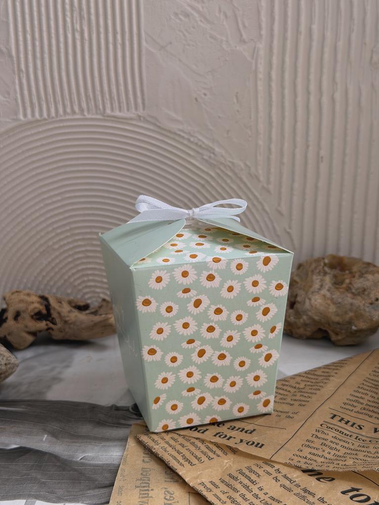 Упаковка для 1 суккулента