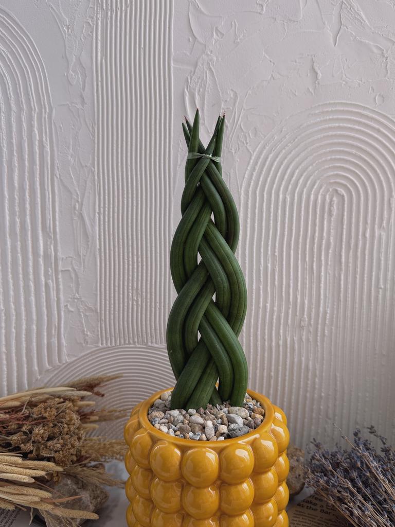 Коса Радужная