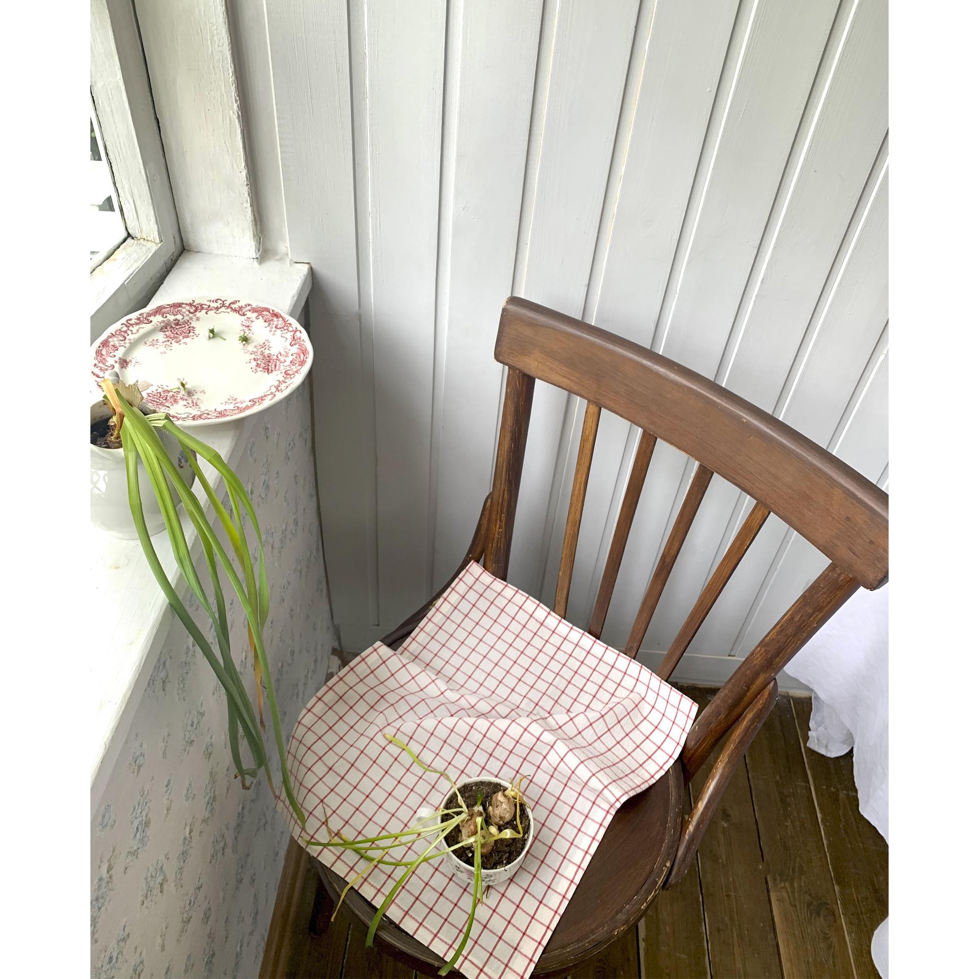 Салфетка-плейсмат RED GRID