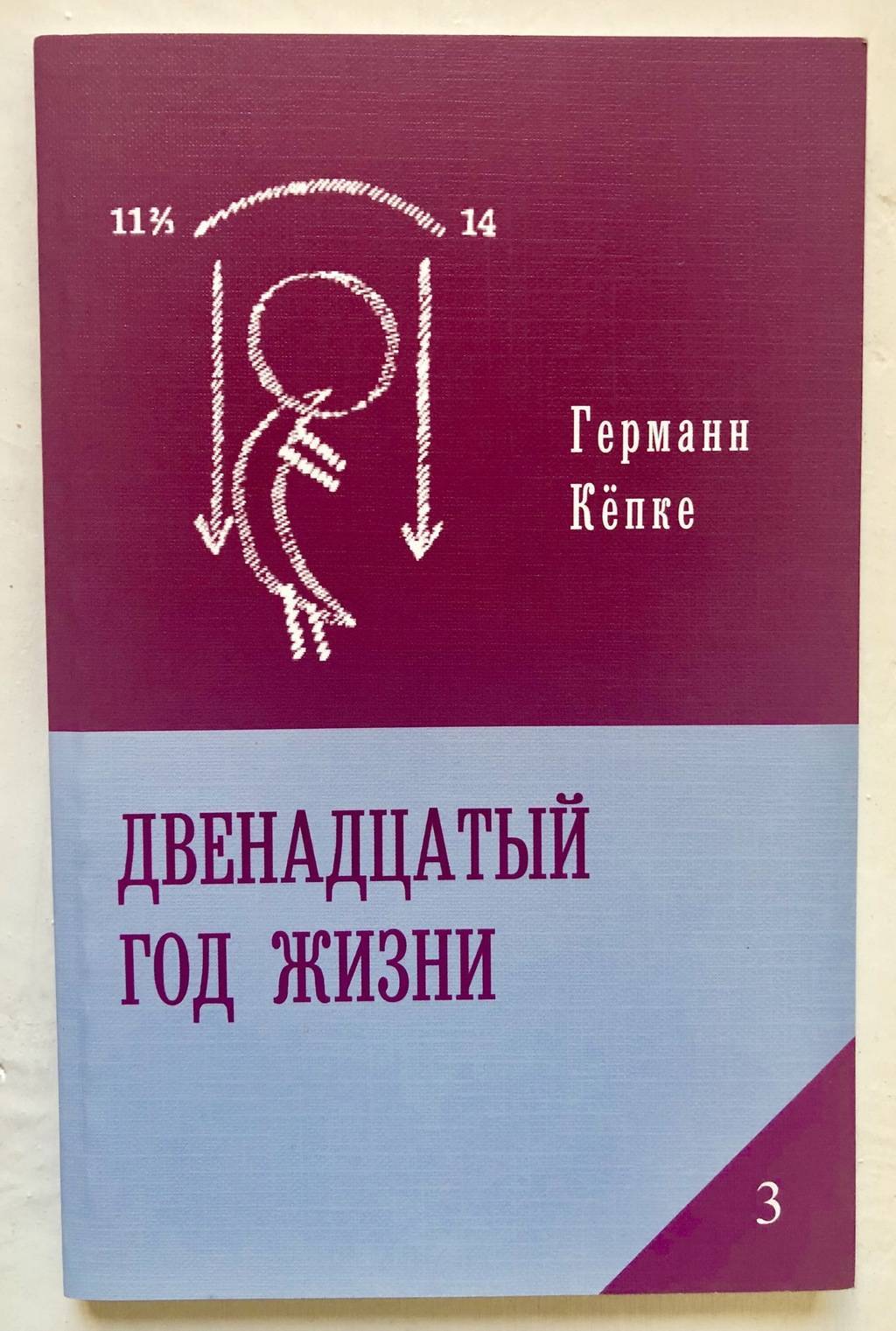 Двенадцатый год жизни