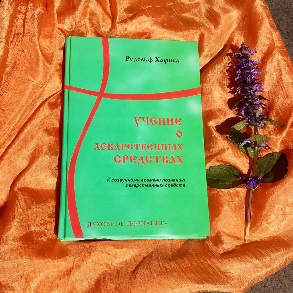 Учение о лекарственных средствах