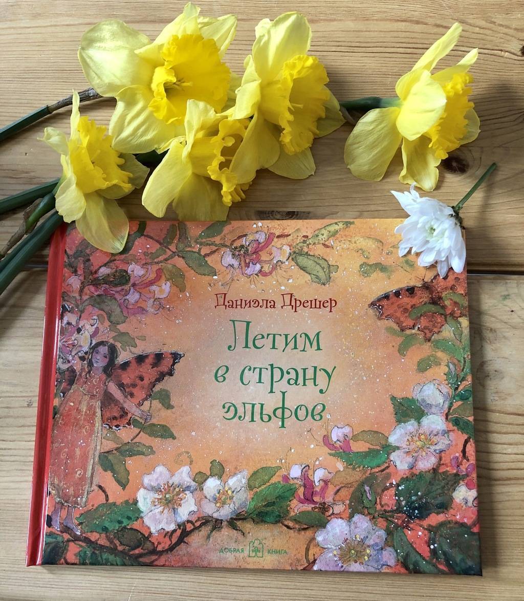 Летим в страну эльфов