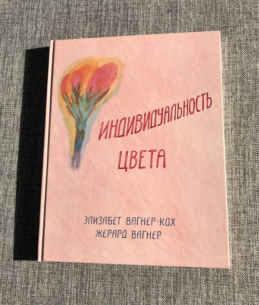 Индивидуальность цвета. Путь упражнений по живописи и переживанию цвета