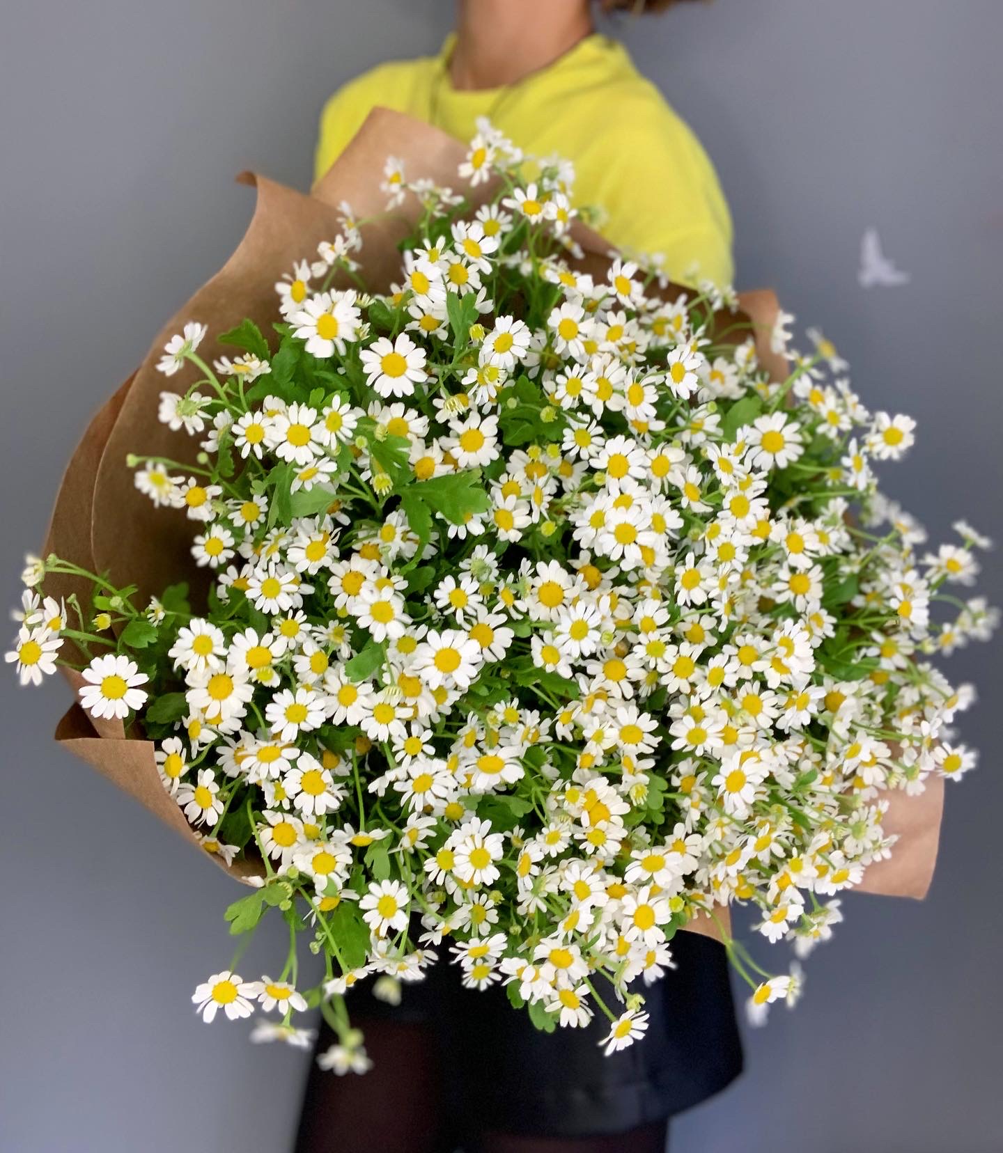 Охапка ромашек