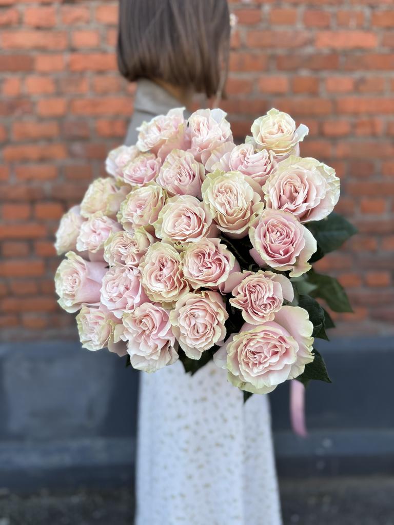 Пинк мондиаль