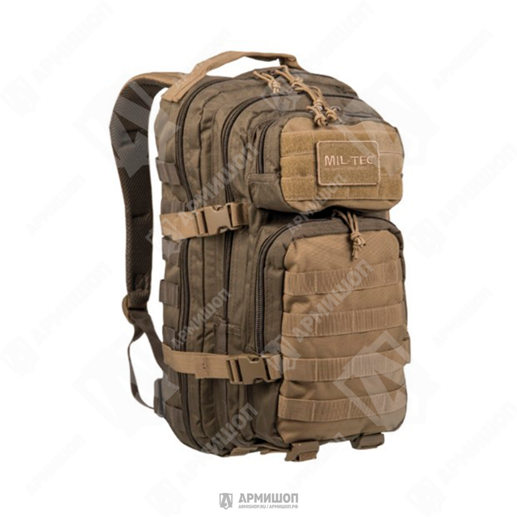 Рюкзак Small Mil-Tec Ranger Green-Coyote 20л