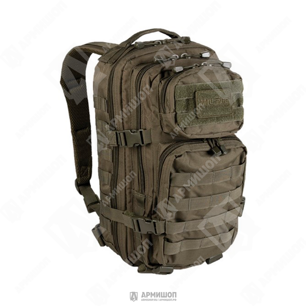 Рюкзак Small Mil-Tec Olive 20л