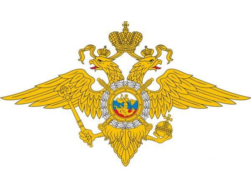 Тревожный чемодан МВД