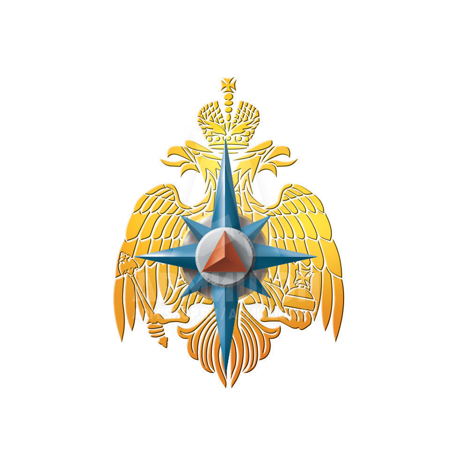 Тревожный чемодан МЧС