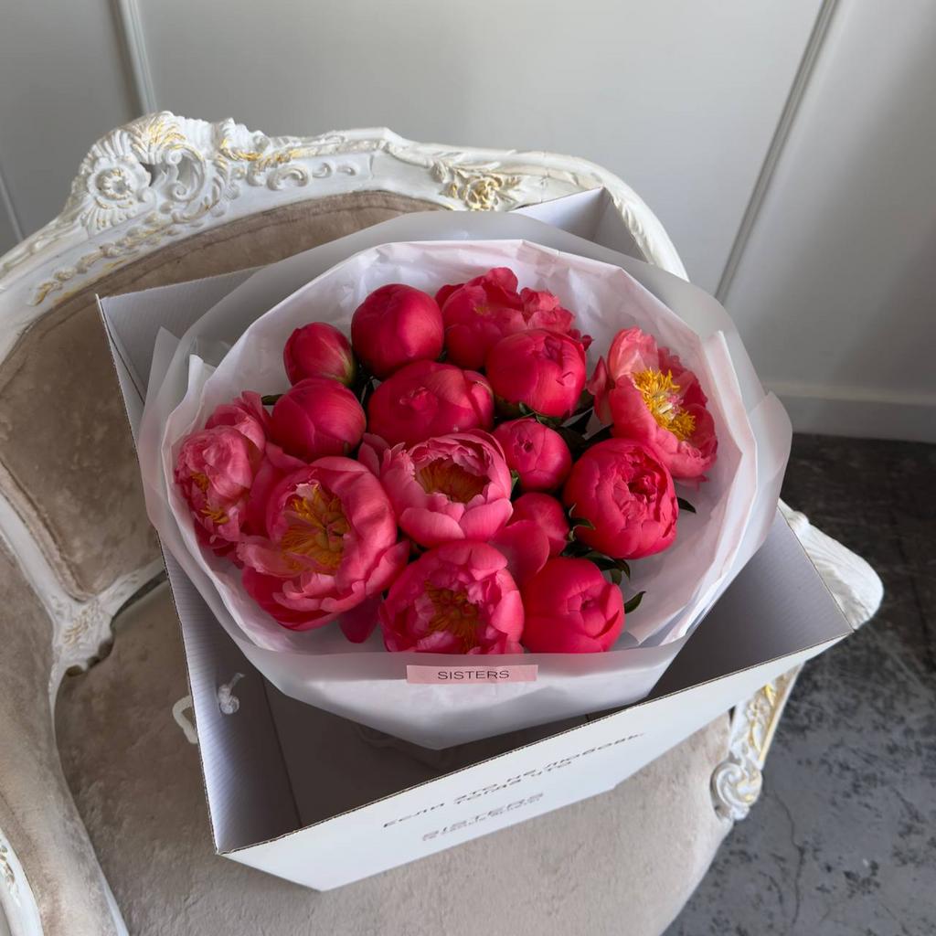 Пионы Корал Шарм