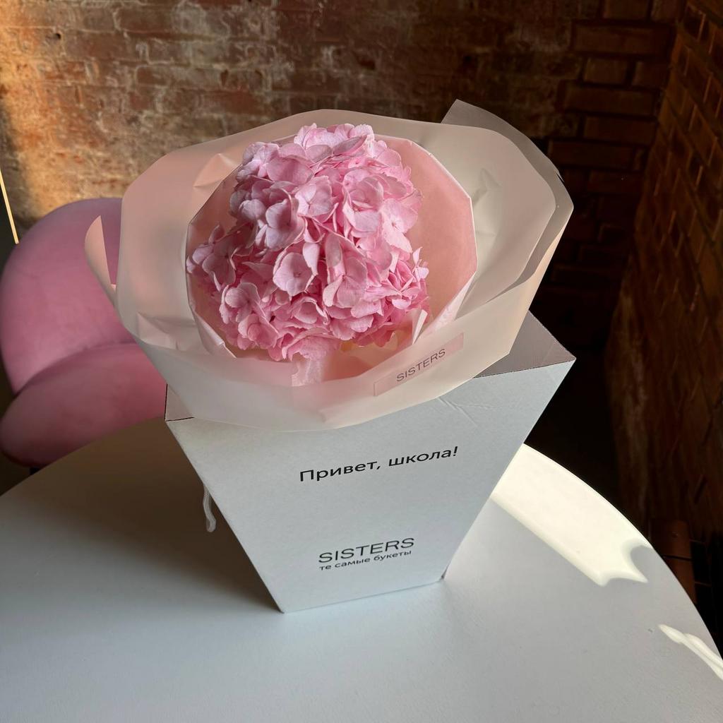 Букет Гортензия "Привет, школа!"