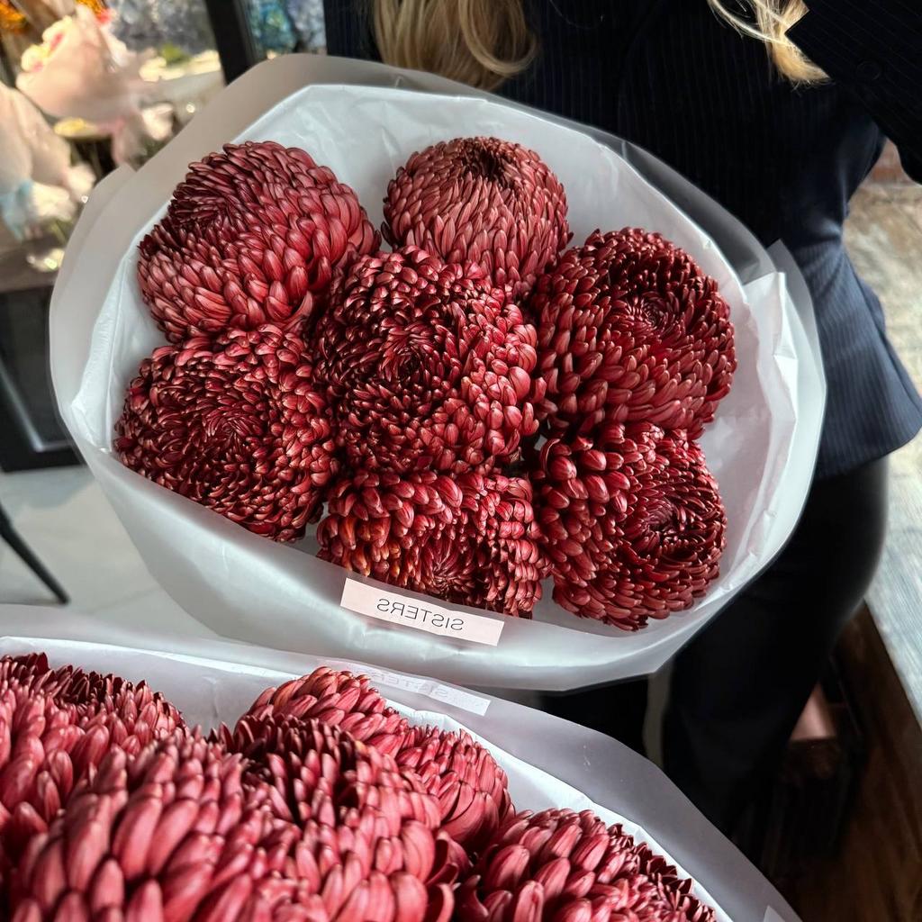 Хризантемы Бигуди Ред