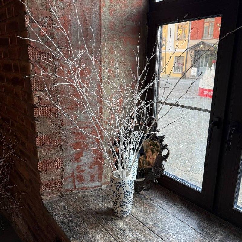 Белые веточки березы