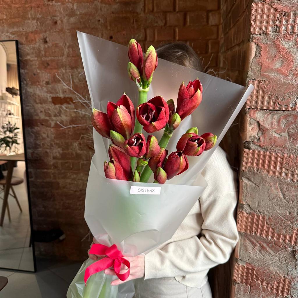 Букет бордовых амариллисов