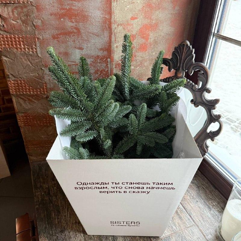 Банч нобилиса