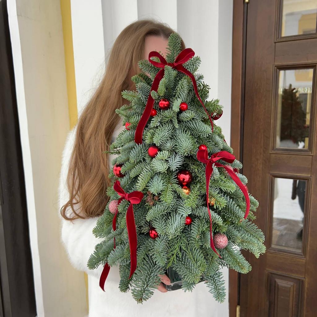 Елочка из нобилиса "Рождественское чудо"