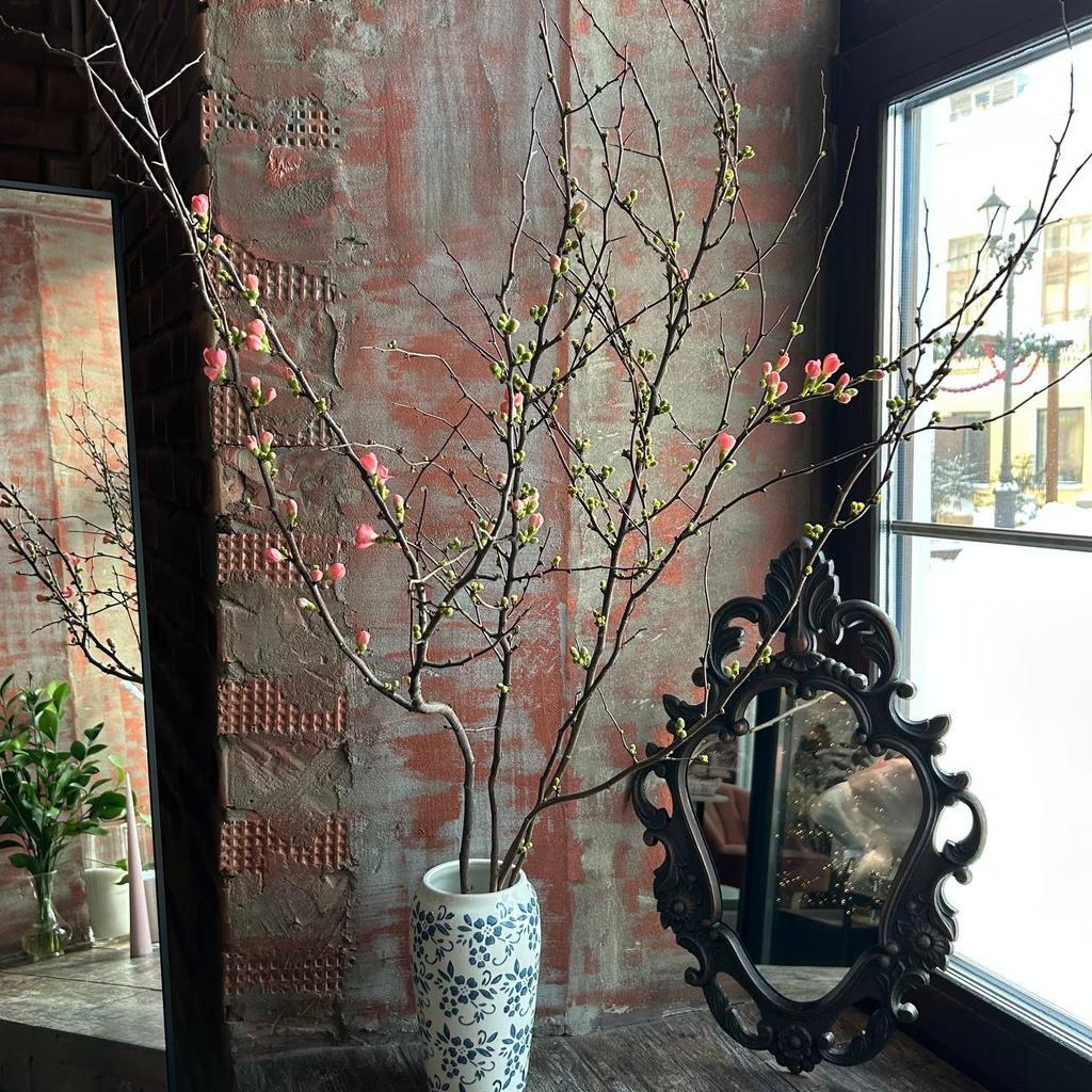 Цветущие веточки Айвы