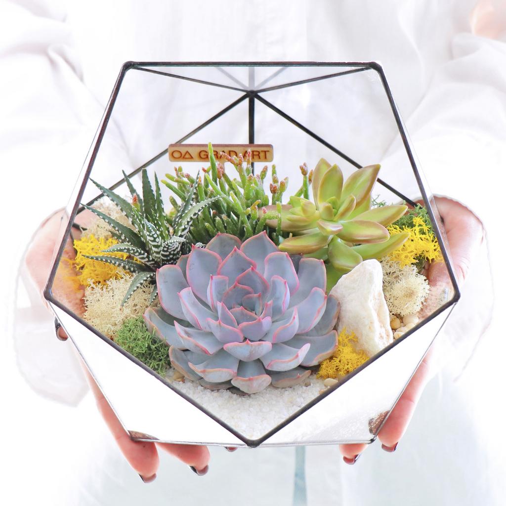 Икосаэдр M (20х20см)