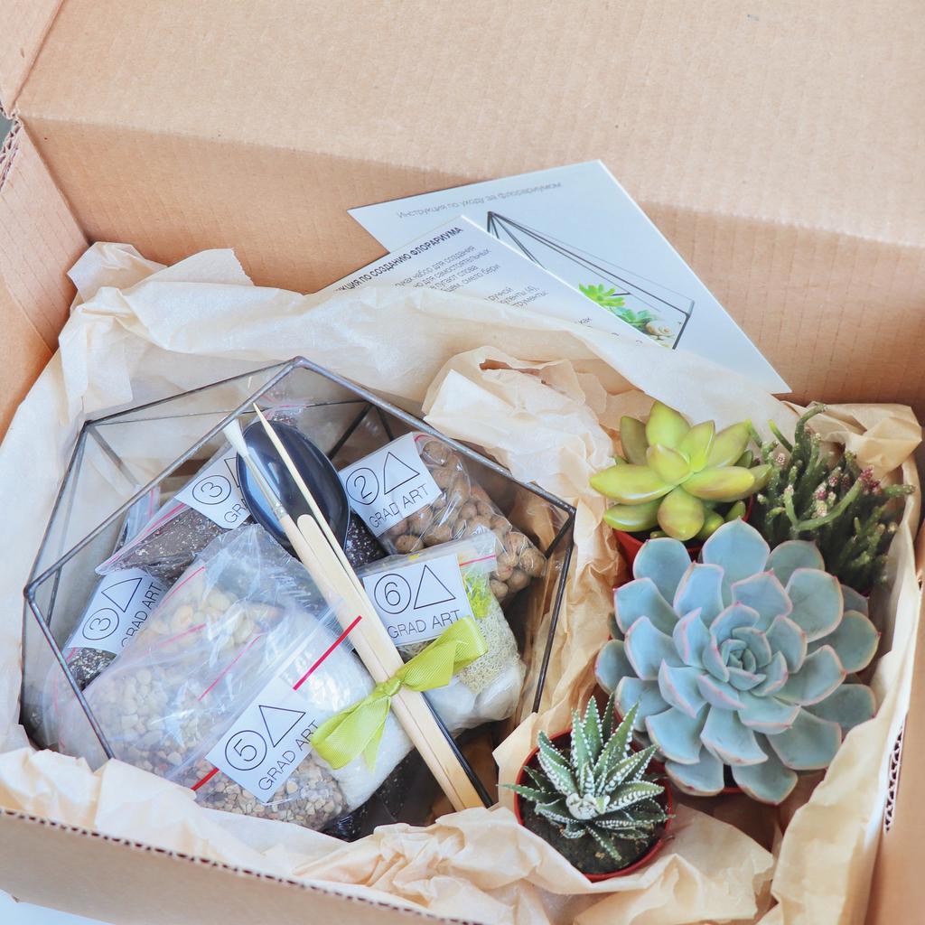 Набор для создания флорариума "Икосаэдр М"