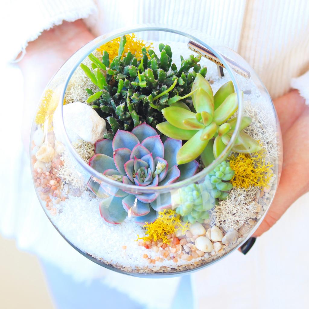 Шар S (13х16см)