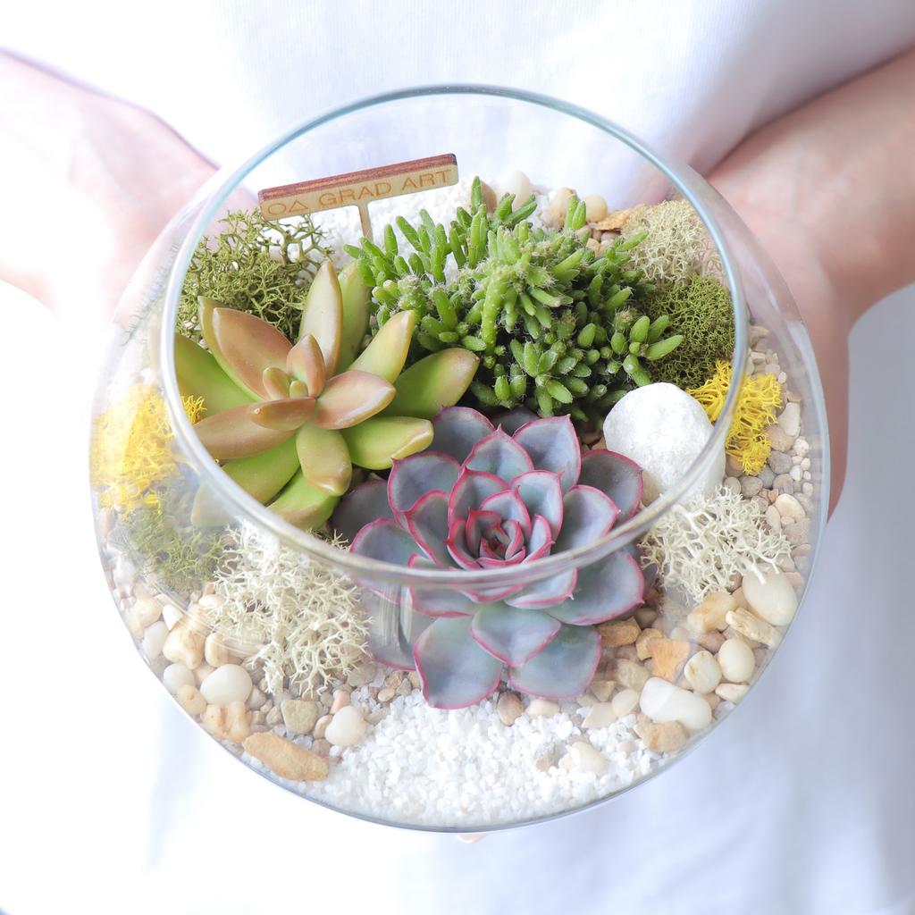 Шар M (13х16см)